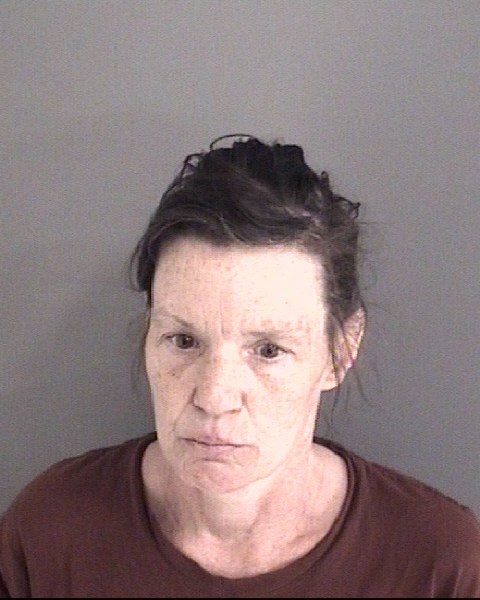 Mugshot of TERA ANN SITZMANN