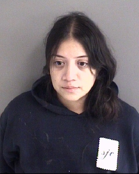 Mugshot of PAOLA GUADALUPE IBARRA BAUTISTA