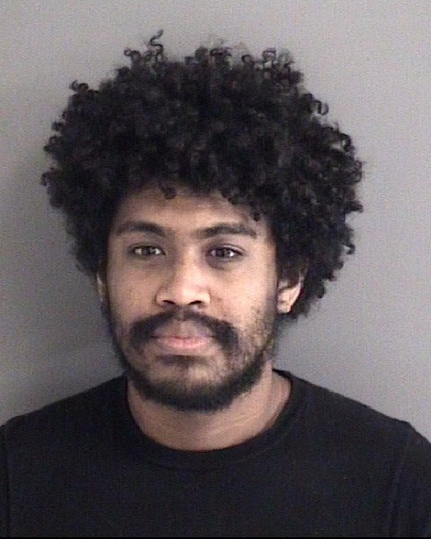 Mugshot of TONY HIEP LE
