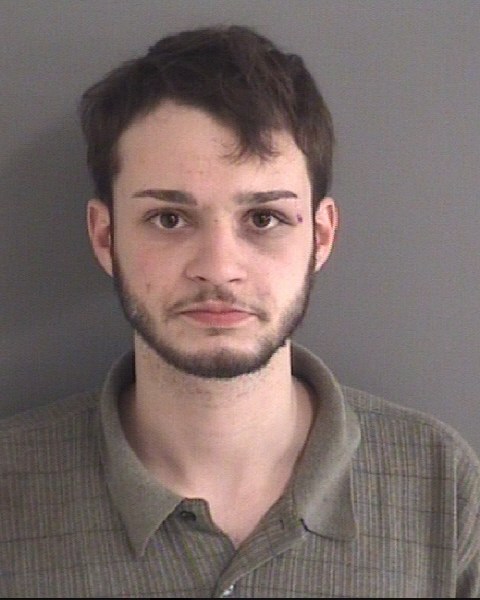 Mugshot of MICHAEL FRANCIS DUNN