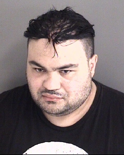 Mugshot of DANIEL MICHAEL MITOROTONDO