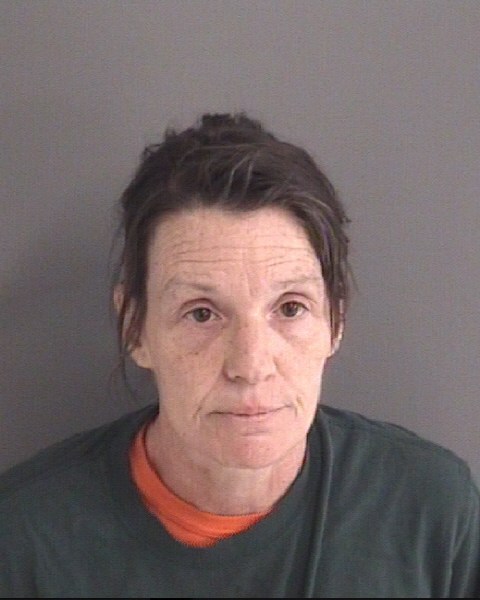 Mugshot of TERA ANN SITZMANN