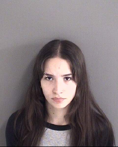 Mugshot of ANNA CHRISTINA OSTERKAMP