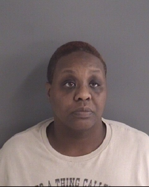 Mugshot of HELENA LYNNE BRISBY