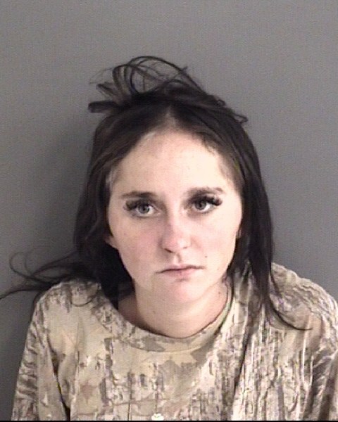 Mugshot of ELLIE NICOLLE RAY
