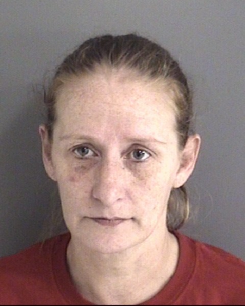 Mugshot of MICHELLE LYNN SANDERS