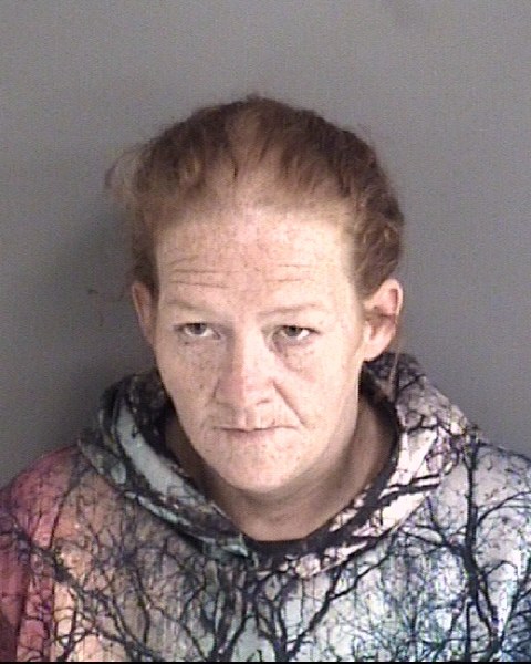 Mugshot of CHRISTINA MARIE WINKLER