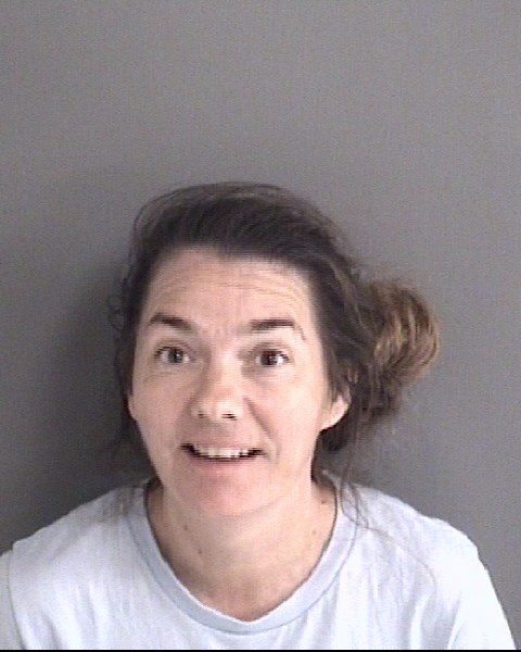 Mugshot of DARLENE ELIZABETH FINLEY