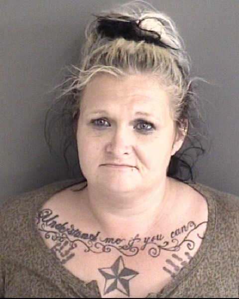 Mugshot of HOLLY JOANN PAASCH