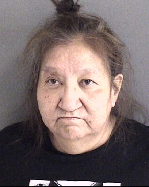 Mugshot of MARIAN LISA ROBERTS