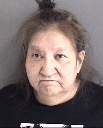 Mugshot of MARIAN LISA ROBERTS