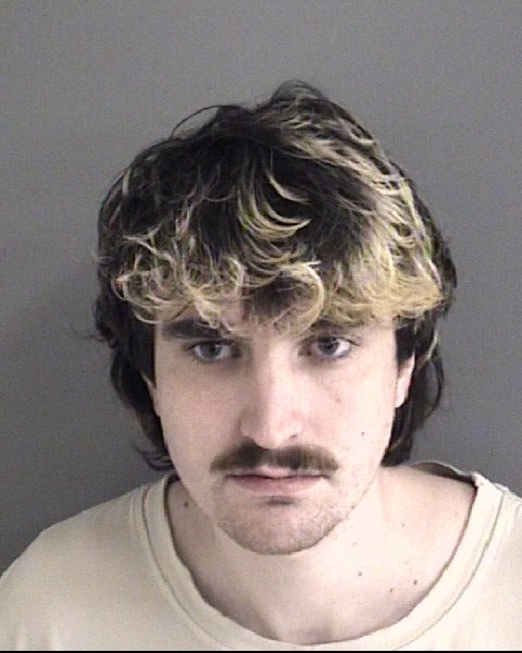 Mugshot of JAMES ANTHONY VANDYK