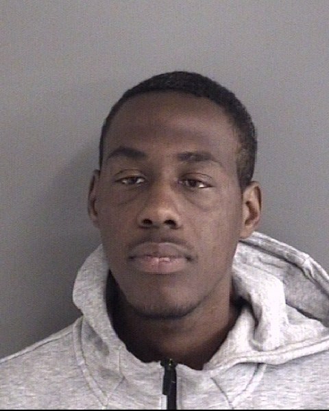 Mugshot of FABIAN BURSE
