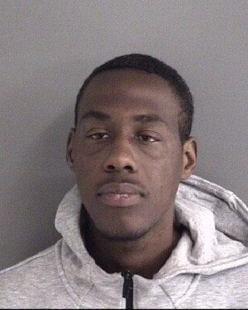 Mugshot of FABIAN BURSE