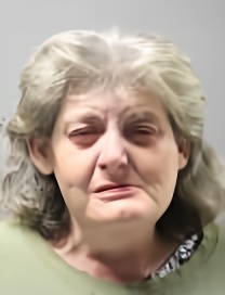 Mugshot of TRACI LYNN HERB-DOWELL