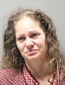 Mugshot of JULIE ARLENE CHRISTY