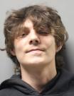 Mugshot of DYLAN MICHAEL SEABROOK