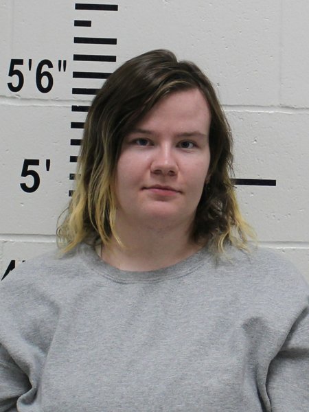 Mugshot of BREE JORE