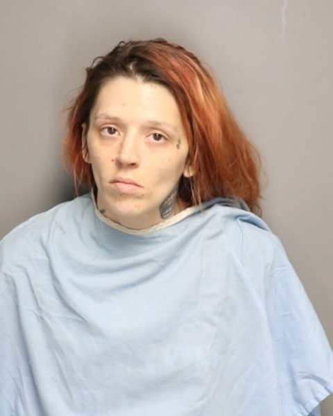 Mugshot of CHELSEY NICOLE MCREYNOLDS