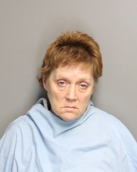 Mugshot of TONIA MICHELLE NOLAN