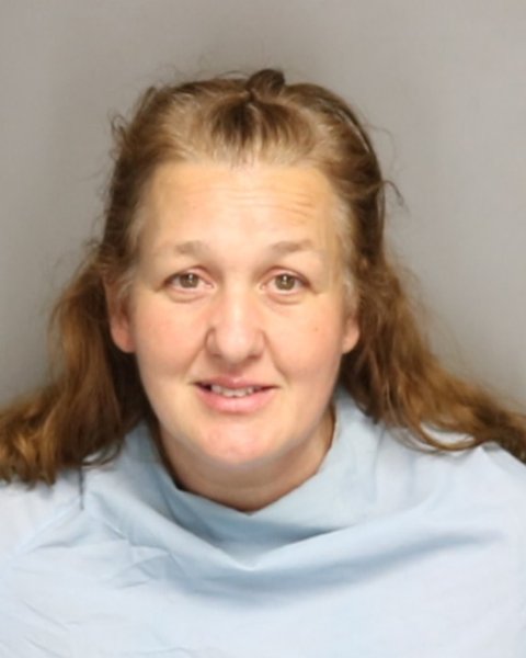 Mugshot of NICHOLE ANNE SHREEVES