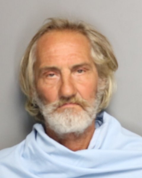 Mugshot of TERRY WERTEPNY