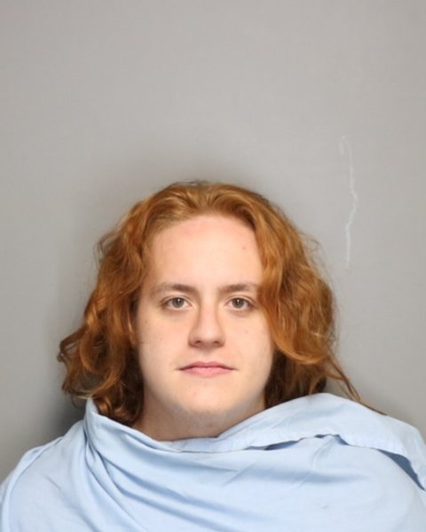 Mugshot of DYLAN ASHTON- JOHN WILLIAMS