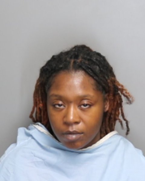 Mugshot of TRESEANNA CRYSTAL FIKES