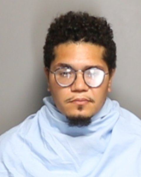 Mugshot of MICHAEL FRANCOIS