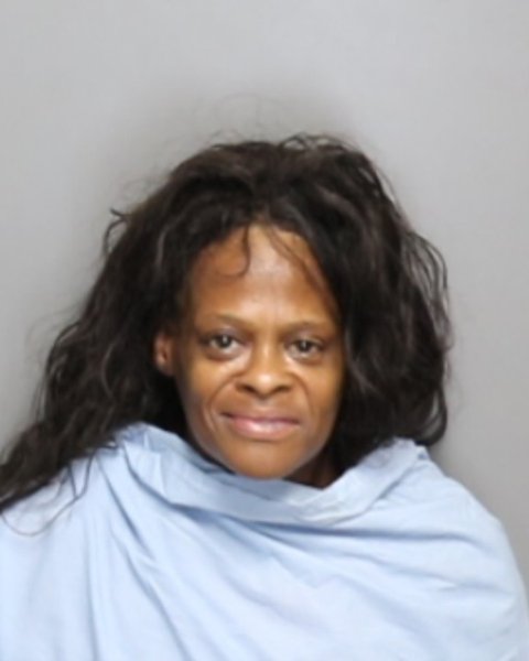 Mugshot of YOLANDA GAIL SIBLEY