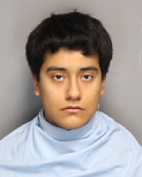 Mugshot of JOVANI GUZMAN