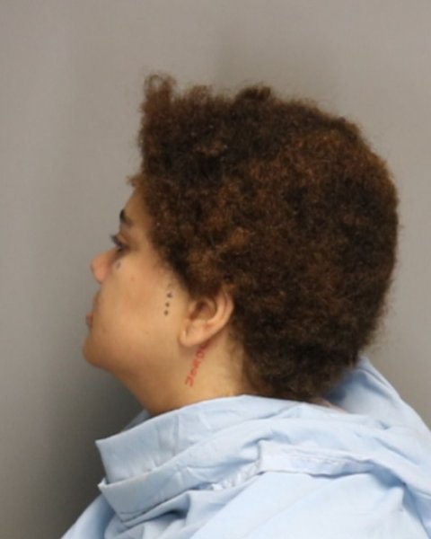 Mugshot of JATAYA AMI WALKER