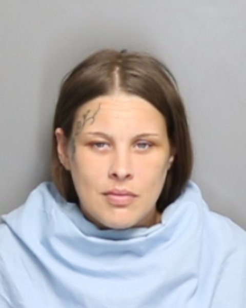 Mugshot of JAMIE LEIGH BARNBROOK