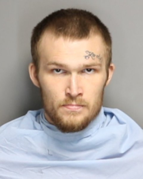 Mugshot of DALTON RICHARD BRADLEY DEWEESE