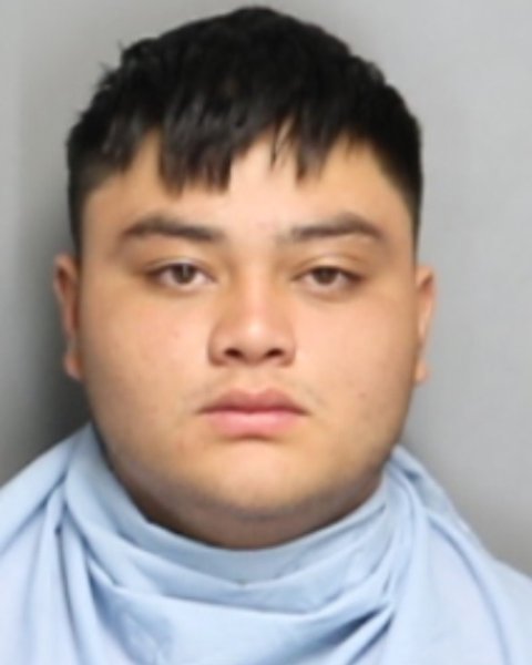 Mugshot of BRYAN WILFREDO GOMEZ