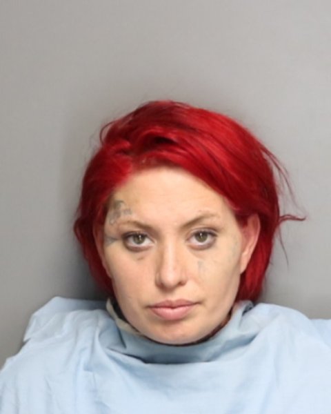 Mugshot of ASHLEA MARIE PARKINSON