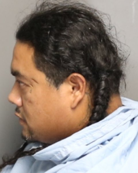 Mugshot of SANTOS ANDRES SALGADO