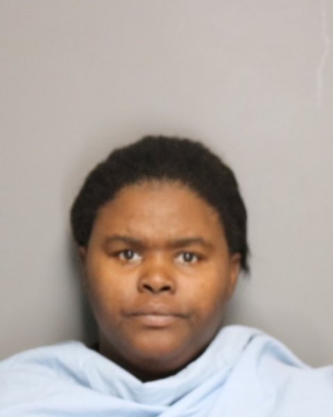 Mugshot of LADONNA MICHELLE GARY