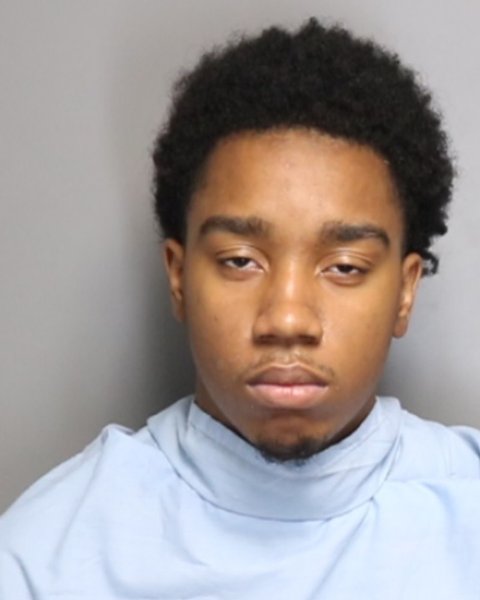 Mugshot of ROBBY IRVON MATHIS