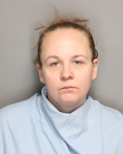 Mugshot of MEGAN RENEE LASTER