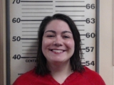 Mugshot of WILSON ALLISON K