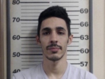 Mugshot of PRICE IAN A
