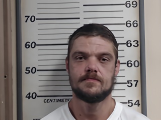Mugshot of HELEINE CODY R