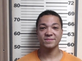 Mugshot of WIGGINS MATHEW J