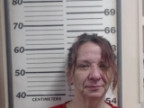 Mugshot of JOURDAN JOLENE K