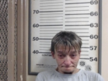 Mugshot of SHIELDS LOUISE M.
