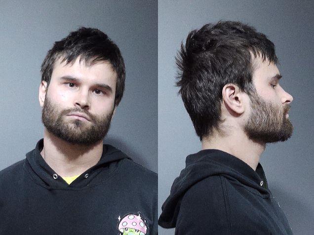Mugshot of ROBERT ANDREW ELSON
