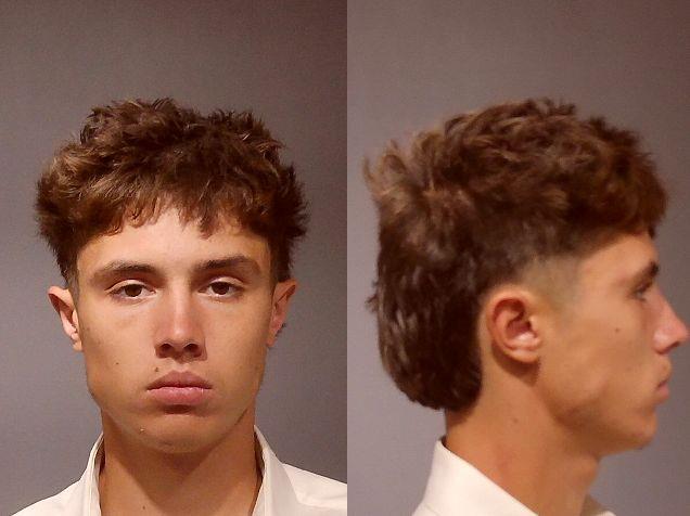 Mugshot of MICHAEL J JR AHLGREN