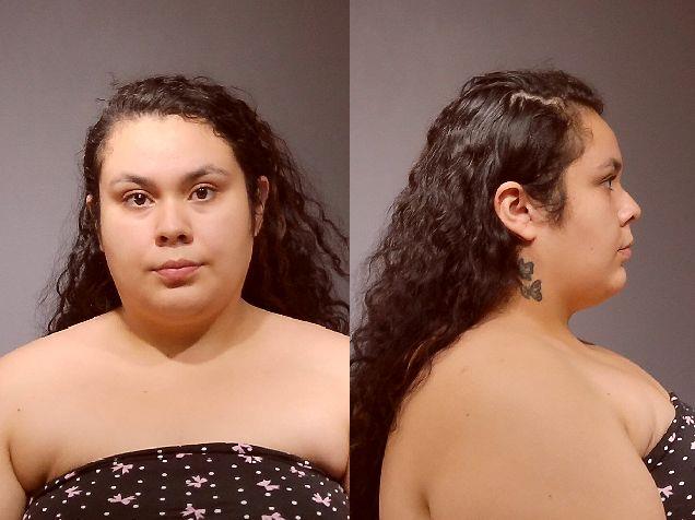 Mugshot of YAZMEEN IDALIZ NAVEJAR