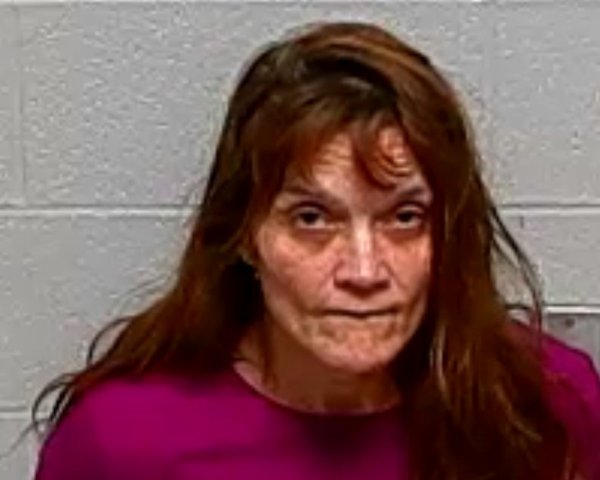 Mugshot of Sherri L Hansen